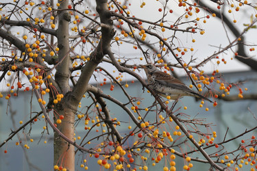 Similar image 21167217