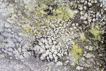 Similar image 21166988