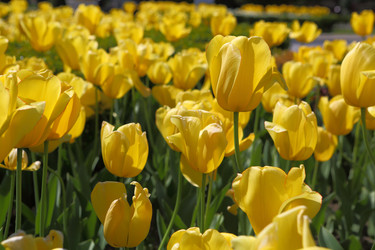 Similar image 21167763