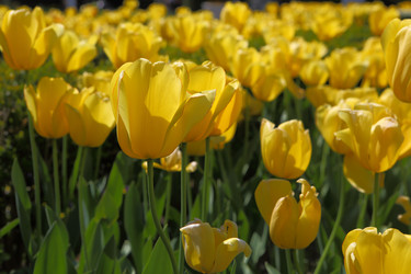 Similar image 21167764