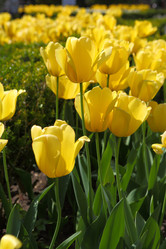 Similar image 21167765