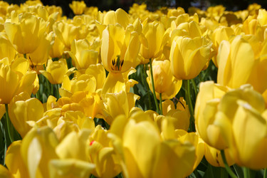 Similar image 21167766