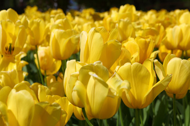 Similar image 21167767