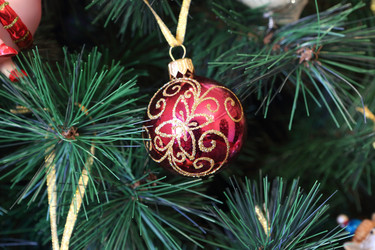 Similar image 21168000