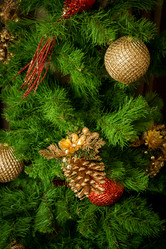 Similar image 21168004