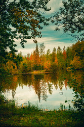 Similar image 21176960