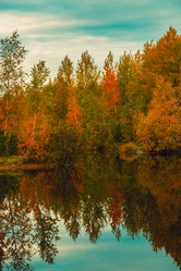 Similar image 21172390