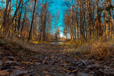 Similar image 21172391