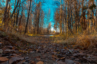 Similar image 21172393