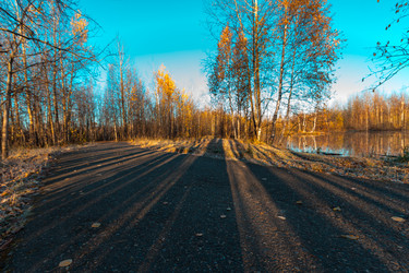 Similar image 21172395