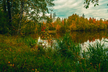 Similar image 21172396