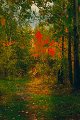 Similar image 21172398