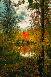 Similar image 21172399