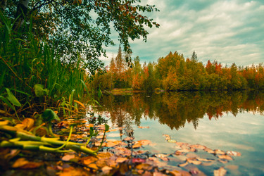 Similar image 21172401