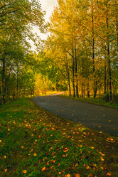 Similar image 21172403