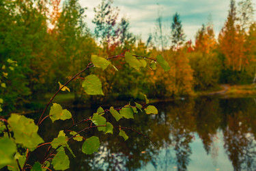 Similar image 21172404