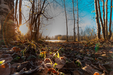 Similar image 21172405