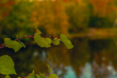 Similar image 21172406