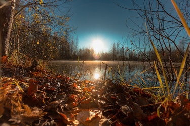 Similar image 21172411