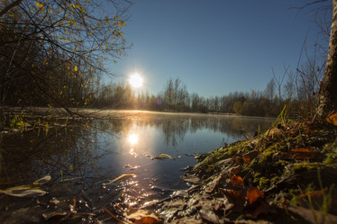 Similar image 21174536