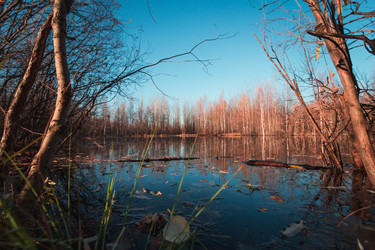 Similar image 21174538