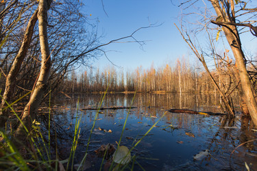 Similar image 21174540