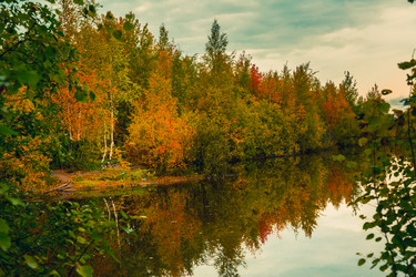 Similar image 21174560