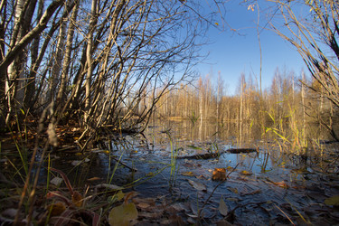 Similar image 21174561