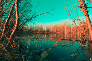 Similar image 21174563