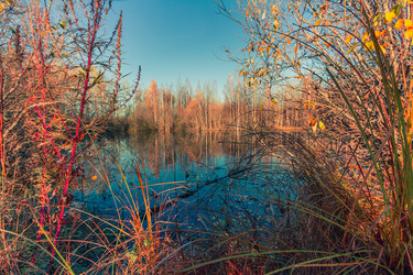 Similar image 21176962