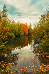 Similar image 21176963