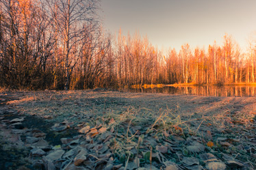 Similar image 21176964