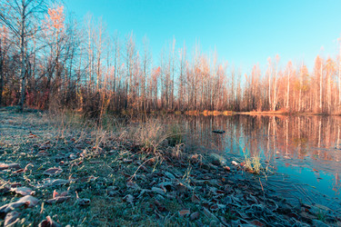 Similar image 21176966