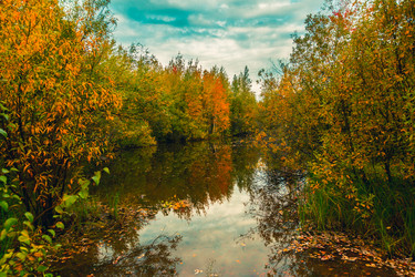 Similar image 21176967