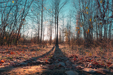 Similar image 21176968