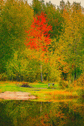 Similar image 21176969