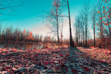 Similar image 21176970