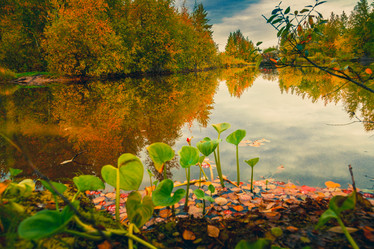 Similar image 21176971