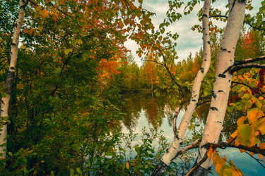 Similar image 21176974