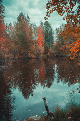 Similar image 21176975