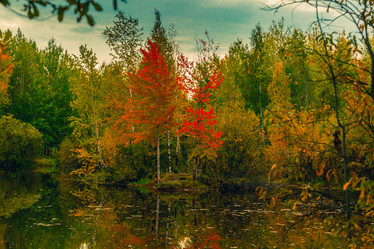 Similar image 21176976