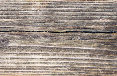 Similar image 21176486