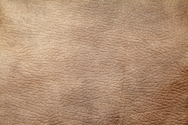 Similar image 21176505