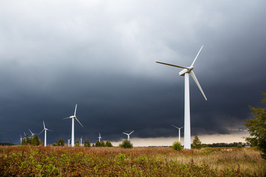 Similar image 21176517