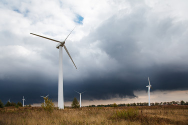 Similar image 21176518