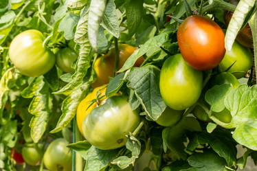 Similar image 21172417