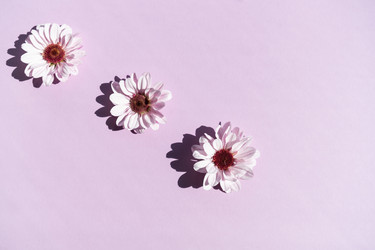 Similar image 21172420