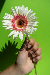 Similar image 21172421