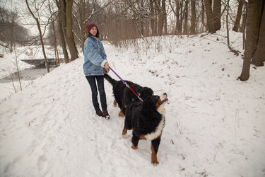 Similar image 21184370