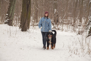 Similar image 21184374